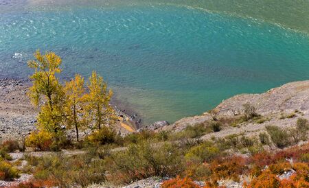 Coast of the mountain river in the autumn. The top view