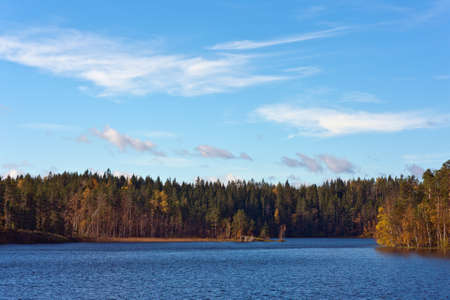 Autumn landscape on wood lake in a sunny dayの写真素材