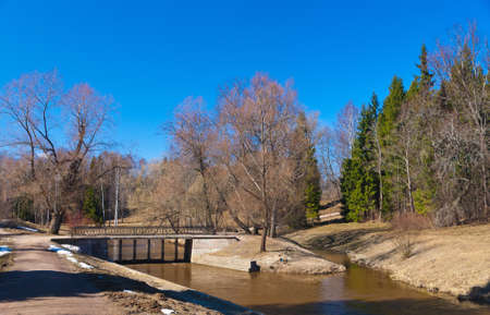 Spring landscape in park of the city of Pavlovskの写真素材