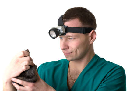 The man veterinary surgeon examines a domestic ratの写真素材