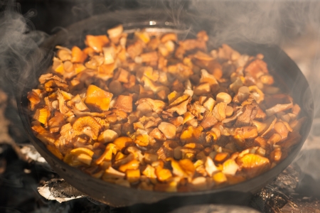 fried chanterelles on a frying pan on coalsの写真素材