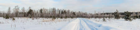 Rural road through the winter woods, panoramaの写真素材