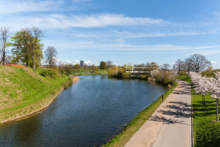 City park in the spring afternoon, Copenhagenの写真素材