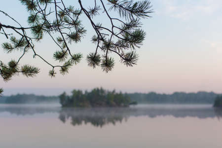 island on the lake in the woods with the morning mistの写真素材
