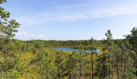 a small lake in the forest, panoramaの写真素材