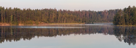 tranquil morning on the lake in the woods