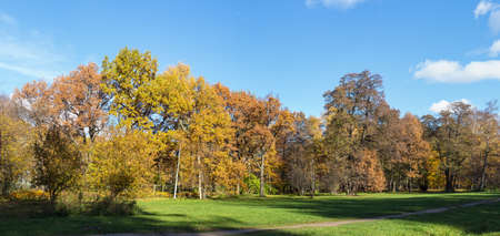 landscape in a sunny park with autumn treesの写真素材