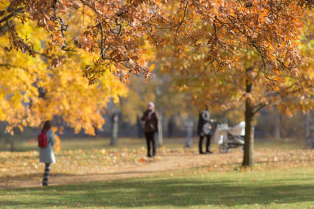 people walking in the autumn park on a sunny afternoonの写真素材