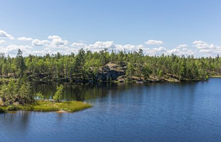 landscape with forest lake in summer dayの写真素材