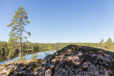 landscape with forest lake in summer dayの写真素材