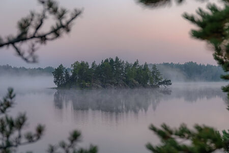 landscape with fog on the lake in the woods before dawnの写真素材