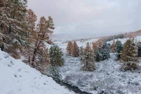 landscape in a mountain valley after the first snowfallの写真素材