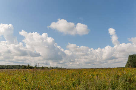 rural landscape on a sunny summer dayの写真素材