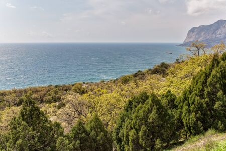 Crimean coast with flowering trees in springの写真素材