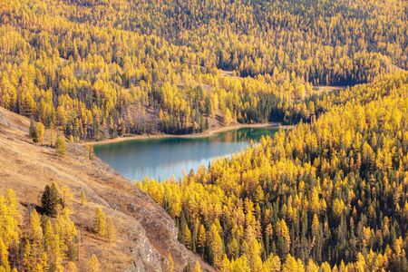 blue mountain lake in the sunny autumn forestの写真素材
