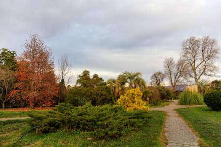landscape in the southern park in autumnの写真素材