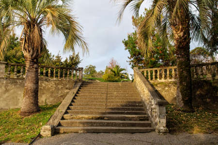 stone staircase in a park with palm treesの写真素材