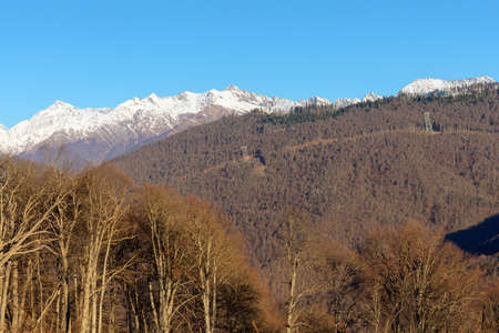 Caucasus mountains with trees on the slopes