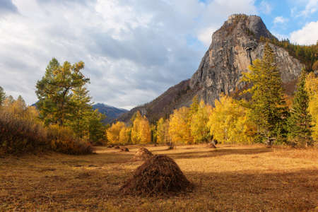 sunny landscape in the mountains in early autumnの写真素材