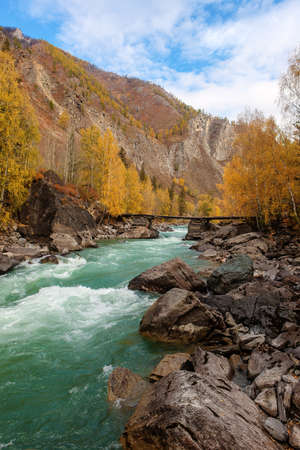 mountain river with the wooden bridge in autumnの写真素材