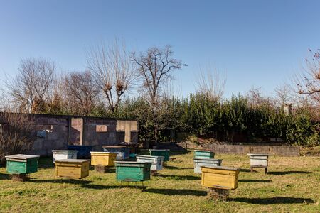 rural apiary with colorful beehives on a sunny dayの写真素材
