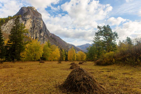 Morning autumn landscape in a mountain valley