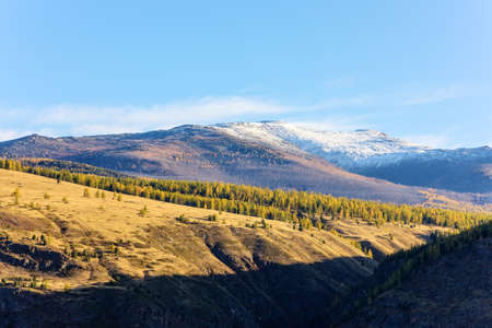 mountain landscape with autumn forest and snow on topの写真素材