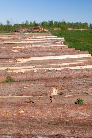 Construction site for a wooden country house