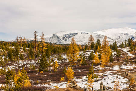 first snow in the mountains in autumn