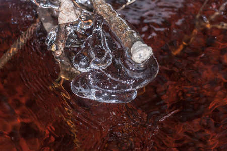 icicles on the branches above the water closeupの写真素材