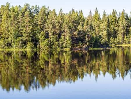 coast of forest lake and reflections in waterの写真素材