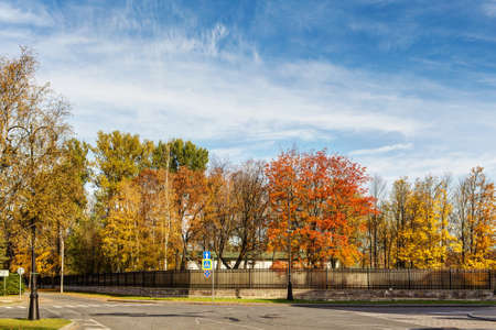 fence of autumn park on a sunny dayの写真素材