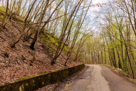 mountain road in Crimea in the springの写真素材