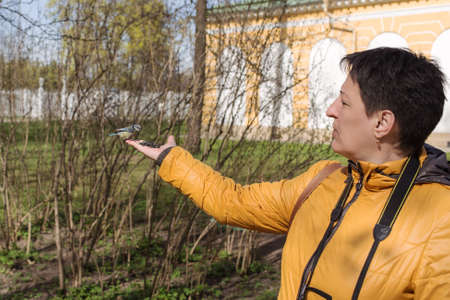 tit on the palm of a womanの写真素材