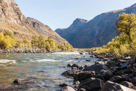 Landscape with a fast mountain river in Siberiaの写真素材