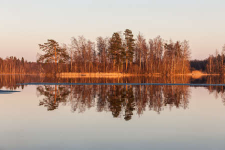 Landscape with reflections on a forest lake