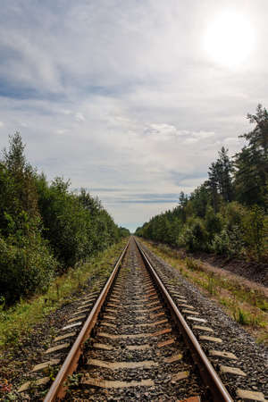 Single-track railway in the forest in summer