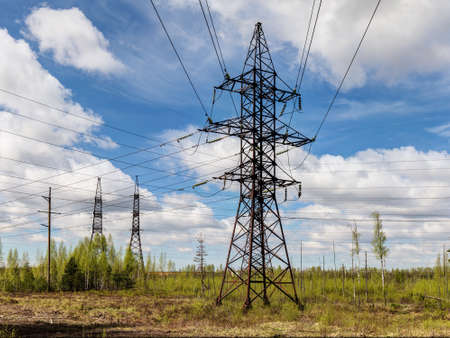 Power line in the forest on a sunny dayの写真素材