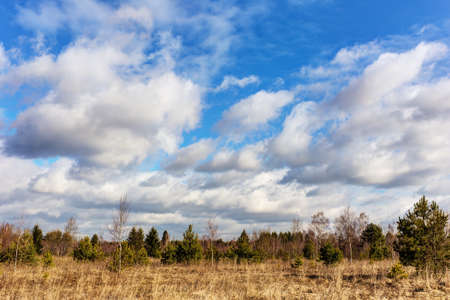 Landscape with forest and clouds in early springの写真素材