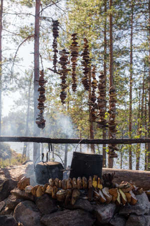 mushroom picker camp in the woods by the lake