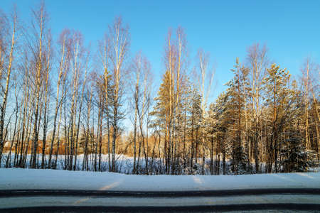 landscape with a road in a winter forestの写真素材