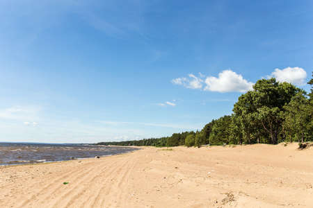sandy beach by the sea with forestの写真素材