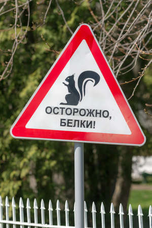 warning sign "Careful, squirrels!" in the parkの写真素材