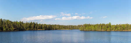 panorama of a forest lake on a sunny dayの写真素材