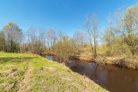 spring sunny landscape on a small river
