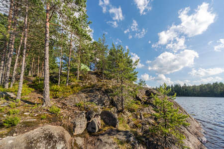 tourist tent on the rocks in the summer forestの写真素材