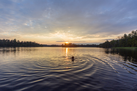 woman is swimming in the lake at sunsetの写真素材