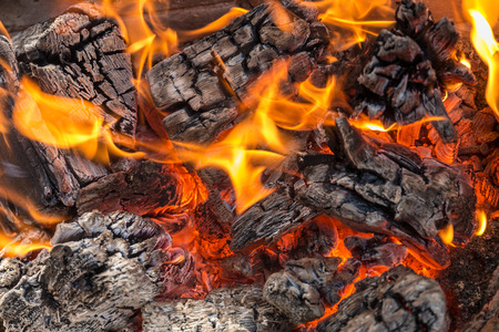burning fire and wooden coals close up