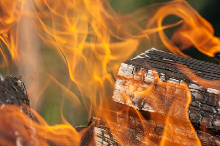 bright fire and burning firewood close upの写真素材