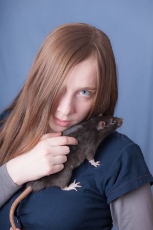 black domestic rat sits on the shoulderの写真素材